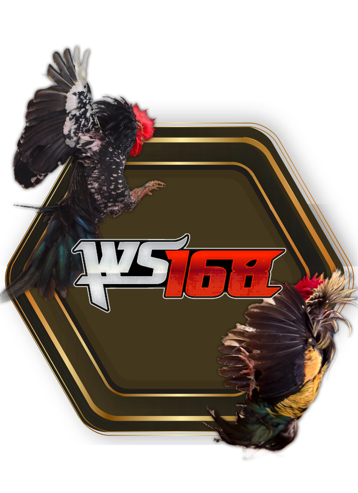 Cock Fighting