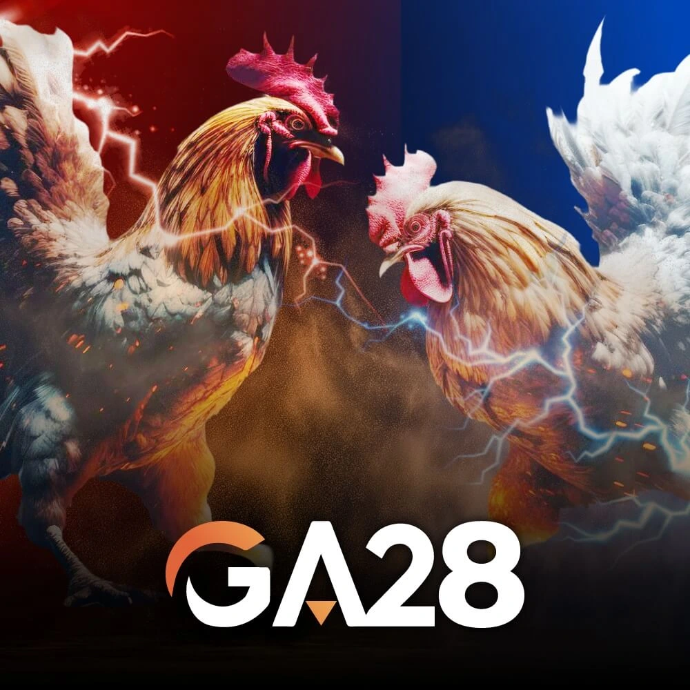 Cock Fighting